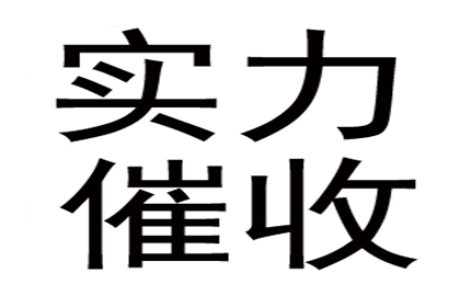 债务追偿强制执行申请流程